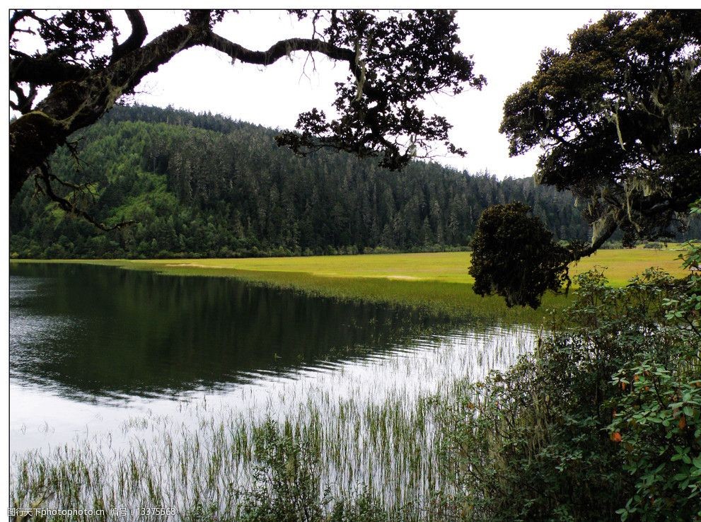 关键词:九寨风光 九寨沟 美丽风光 山水风景 风景区 四川旅游 树 湖