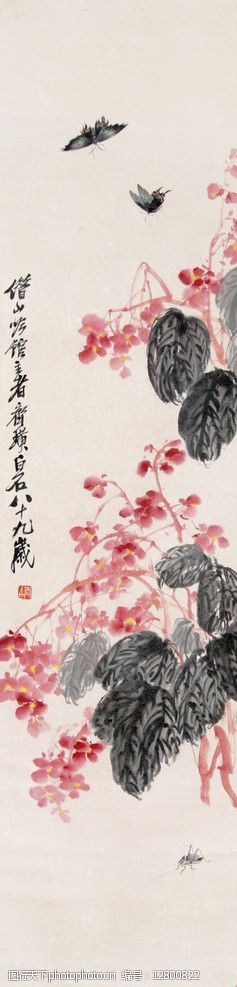关键词:海棠蝴蝶 齐白石 国画 花草 绘画书法 文化艺术 设计 100dpi