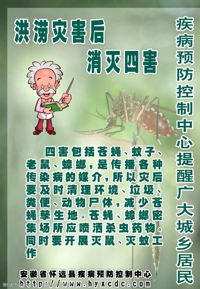 洪涝灾害后消灭四害图片