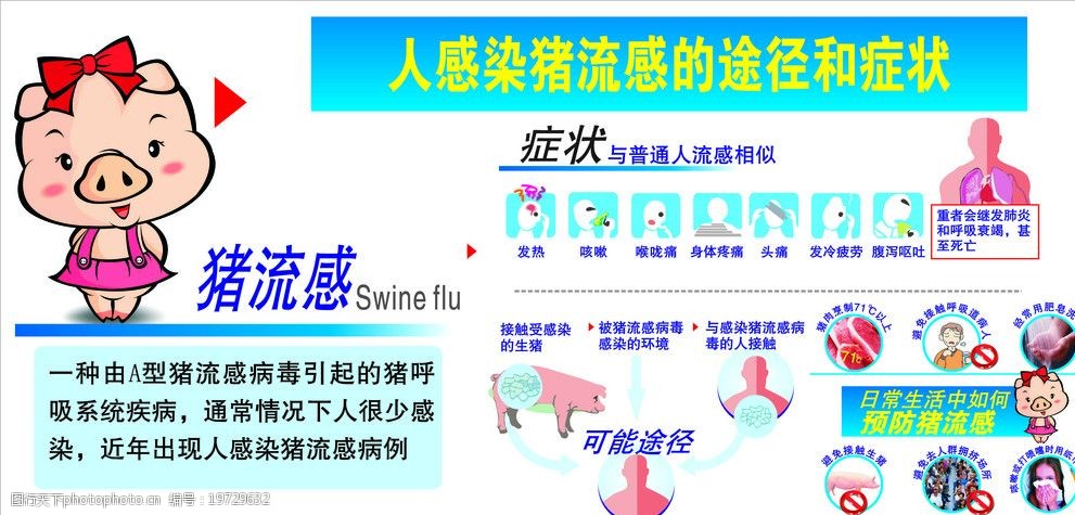 人感染猪流感的途径和症状图片