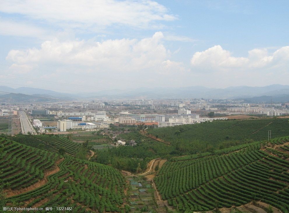 中国茶城普洱茶园茶山图片