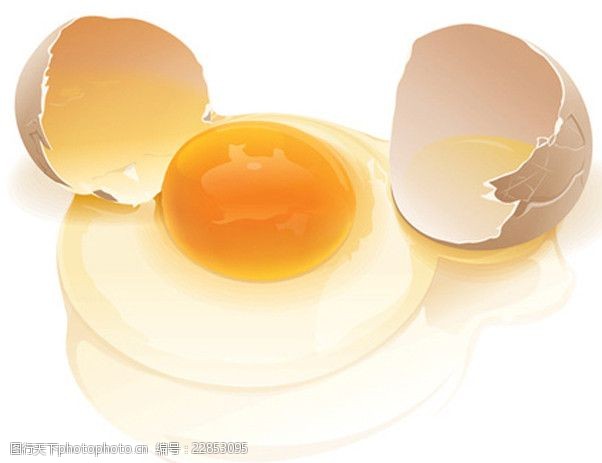 逼真的鸡蛋矢量素材 鸡蛋黄 打开 鸡蛋壳 逼真 矢量素材 餐饮美食