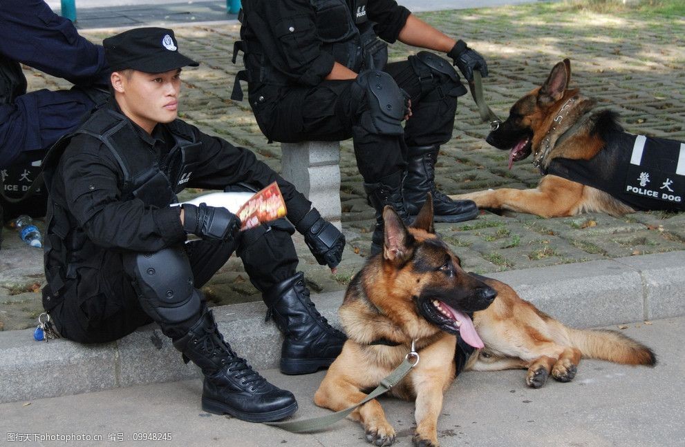 警察与警犬图片