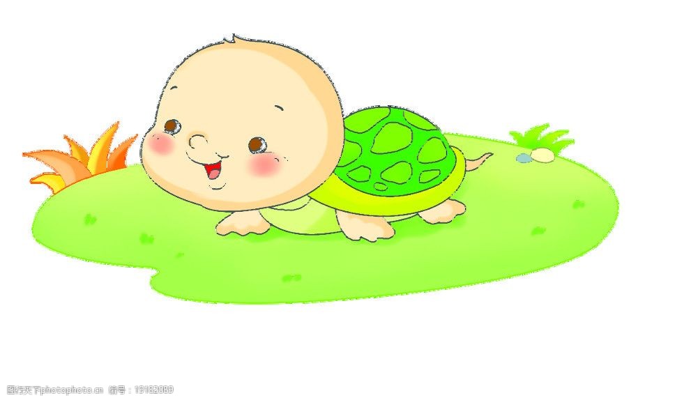 小乌龟图片