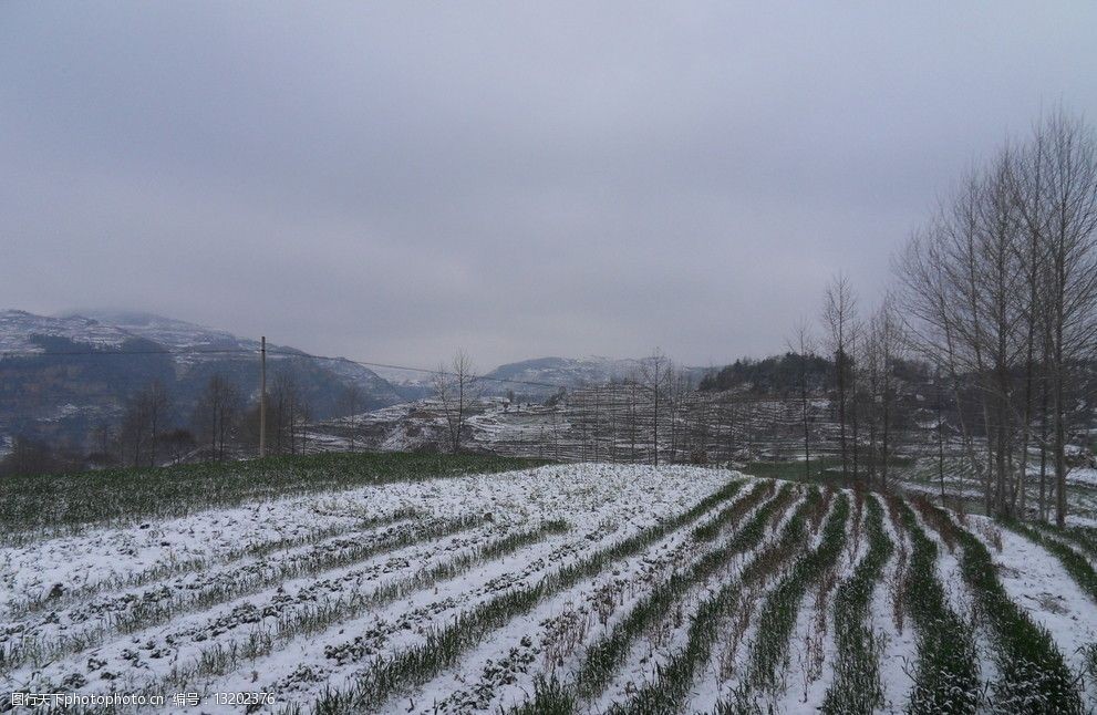 关键词:镇雄初雪 云南 镇雄 初雪 麦地 村落 农村 田园 自然风景 自然