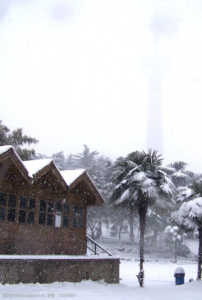 公园雪景图片
