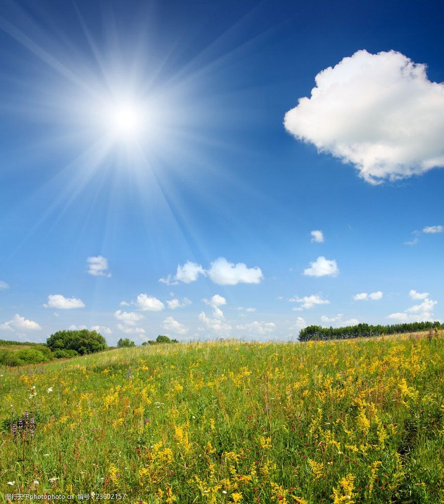 草地 野草 云朵 蓝天白云 太阳 阳光 风景 风光 高清图片 自然风景