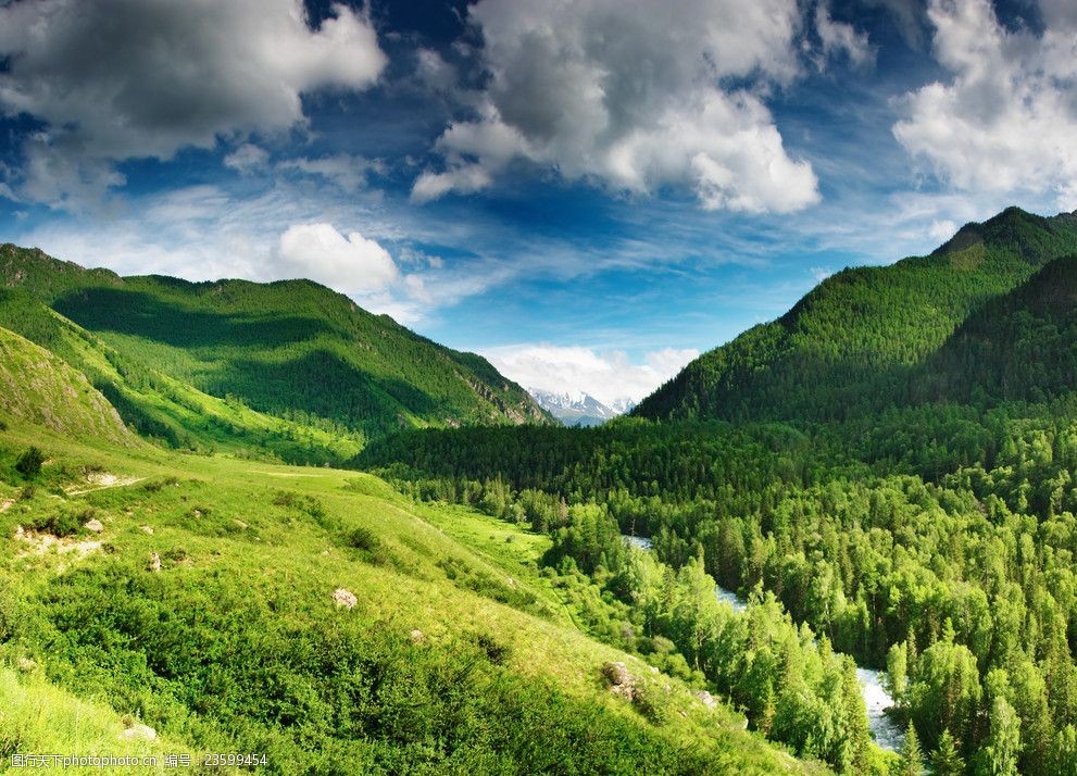 蓝天 白云 山丘 山脉 群山 山峰 树林 树木 森林 草地 陆地 风景 风光