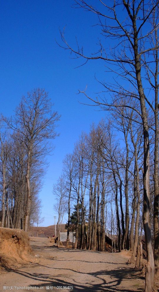 关键词:山村小路 田园 山村 小路 田园风光 自然景观 摄影 72dpi jpg