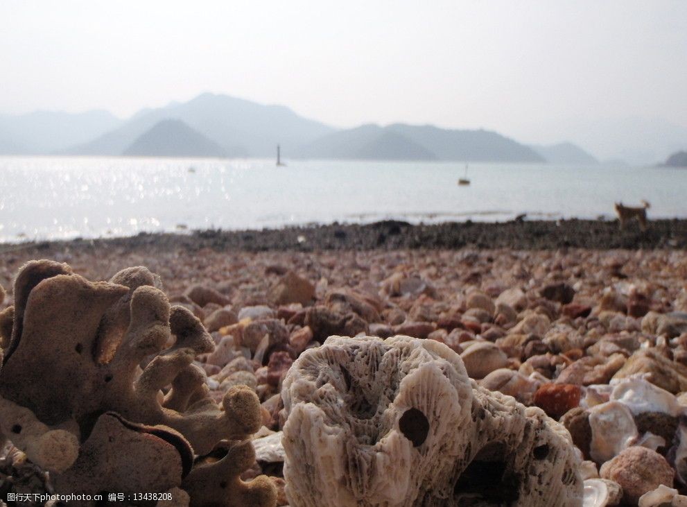 关键词:清新海岸 渔村 海 沙滩 贝壳 石头 沙 古老 海水 蚵 螺 海岸