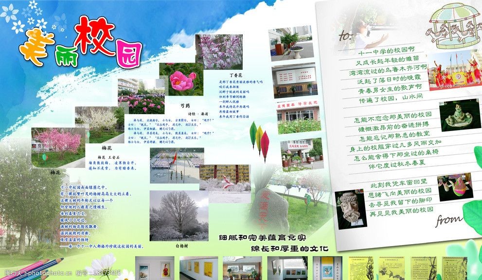 美丽的校园图片