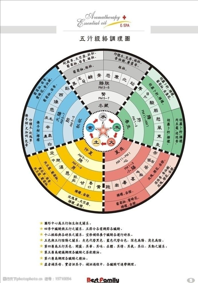 五行经络图片