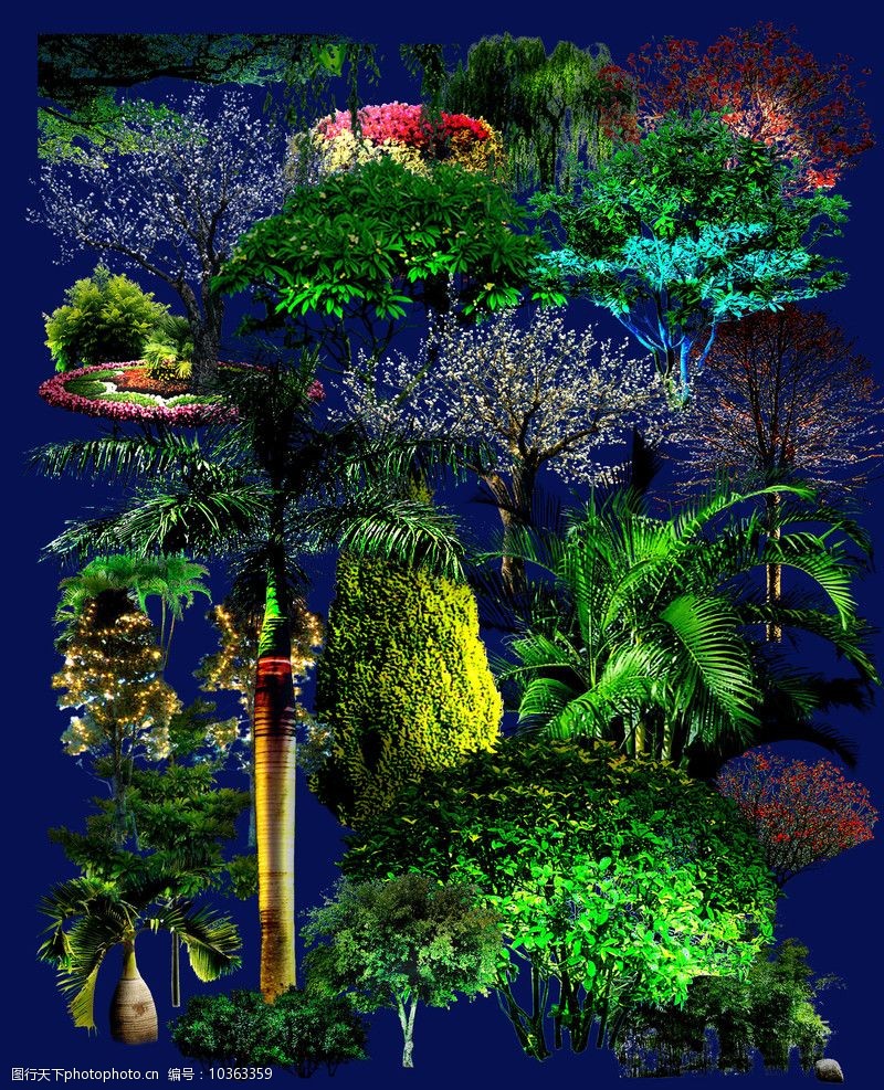 夜间植物图片