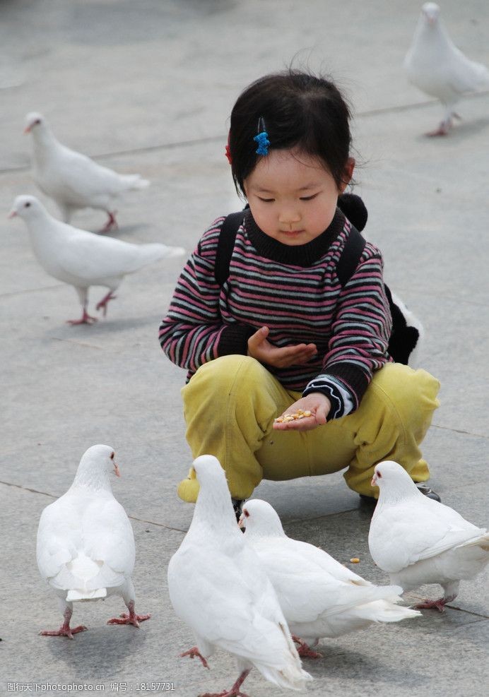 关键词:小女孩与鸽子 和平的象征 喂鸽子 和平 儿童幼儿 人物图库