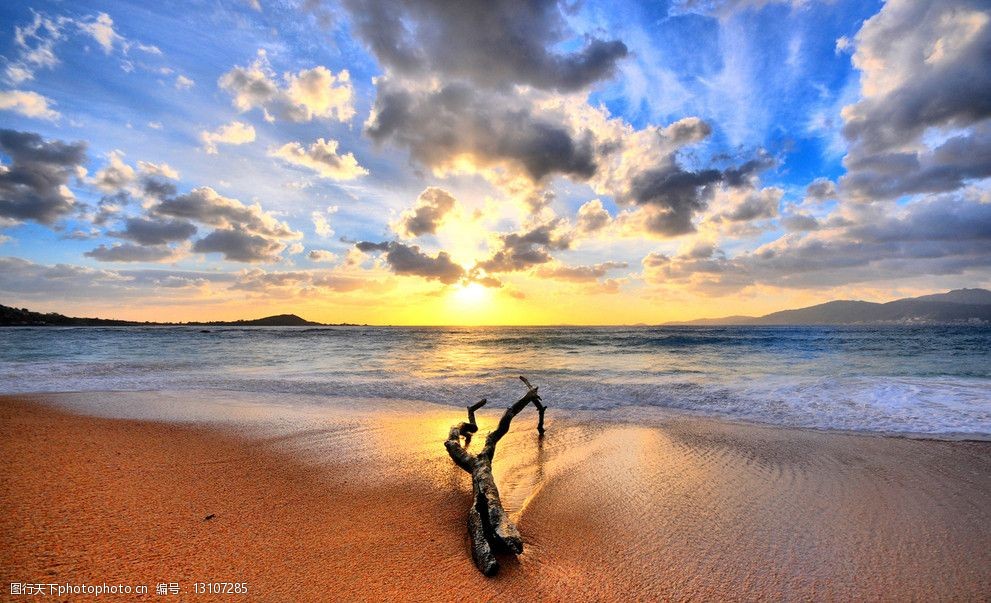 关键词:海滩夕阳 海滩 夕阳 海边风景 沙滩上的枯树 自然风景 自然