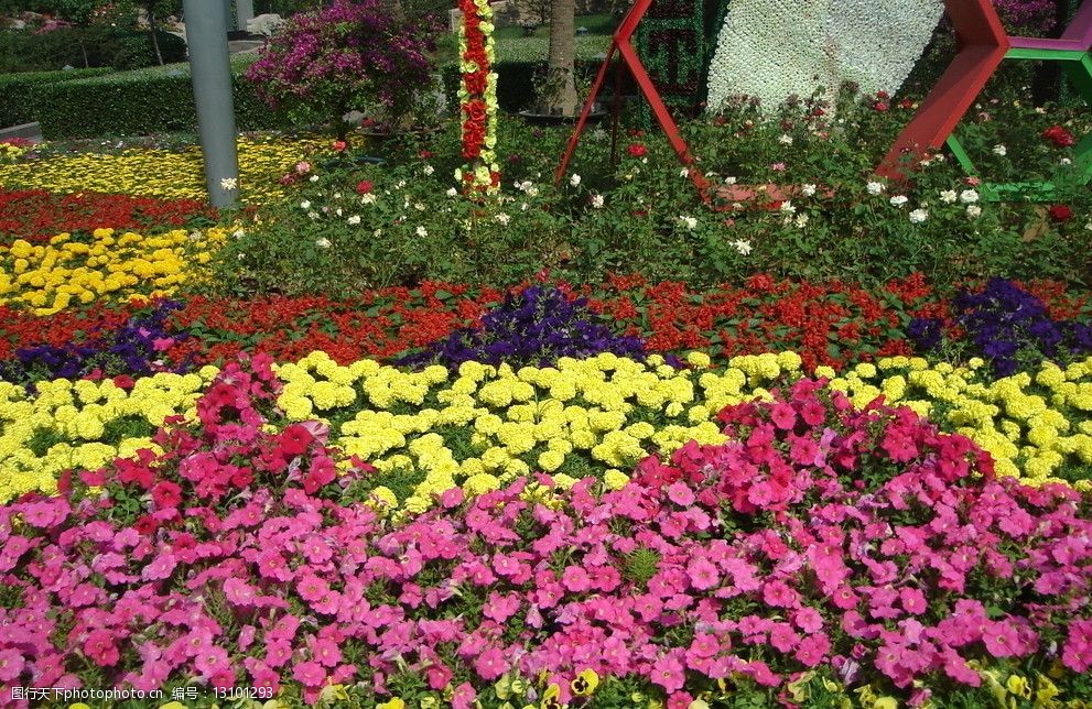 关键词:五颜六色的花 五颜六色的花朵 自然风景 自然景观 摄影 72dpi