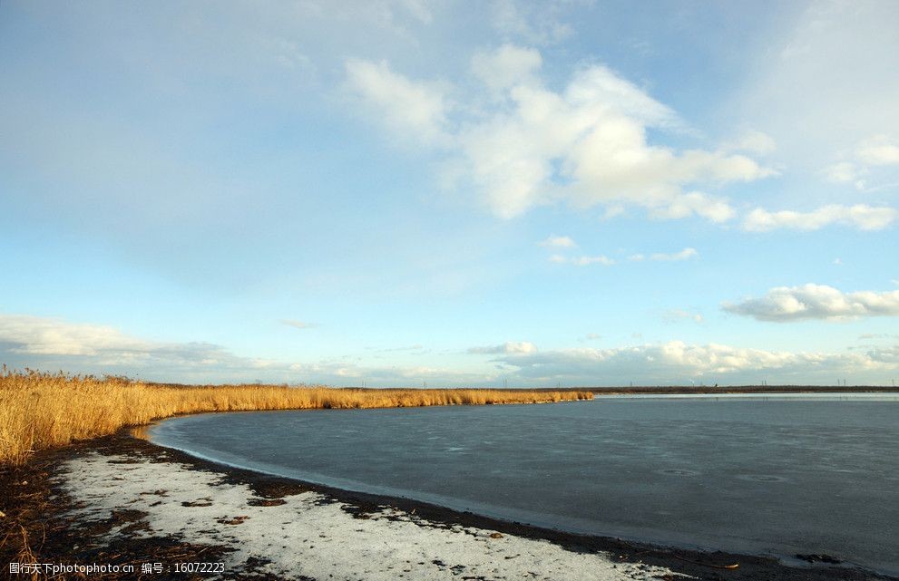 海岸畔的风景 海水 岸滩 枯黄的植物 荒草 蓝天白云和阳光 海岸 山水