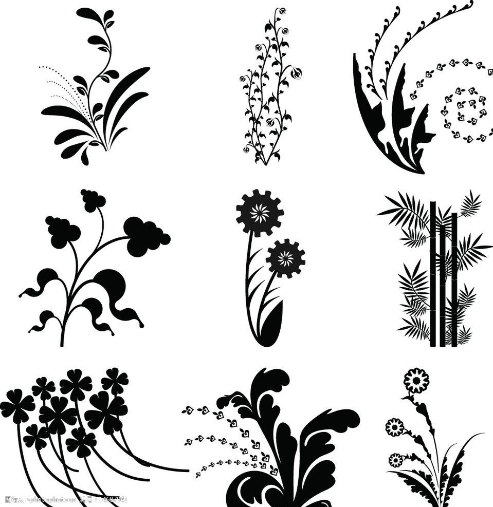黑白植物花纹图片