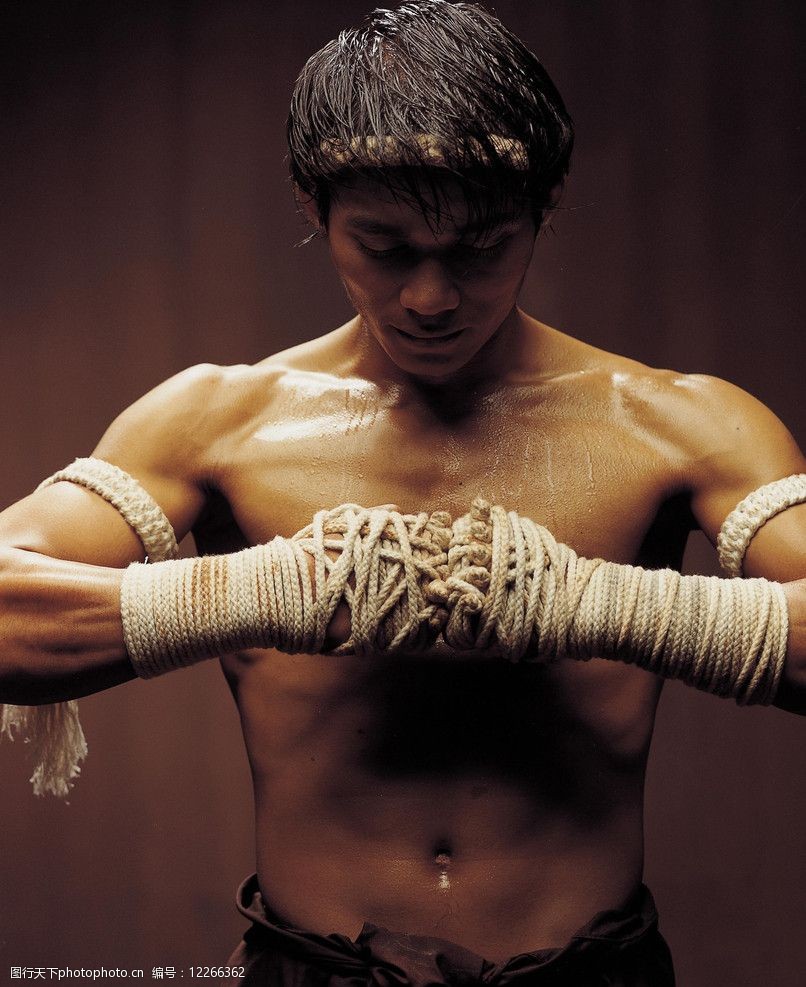 拳霸托尼贾图片