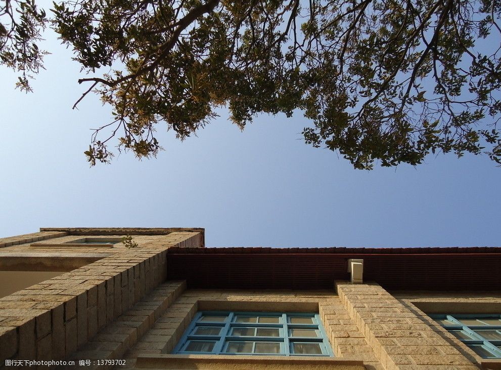 关键词:仰望天空 厦大 天空 嘉庚风格 树 建筑 窗户 厦门大学风景