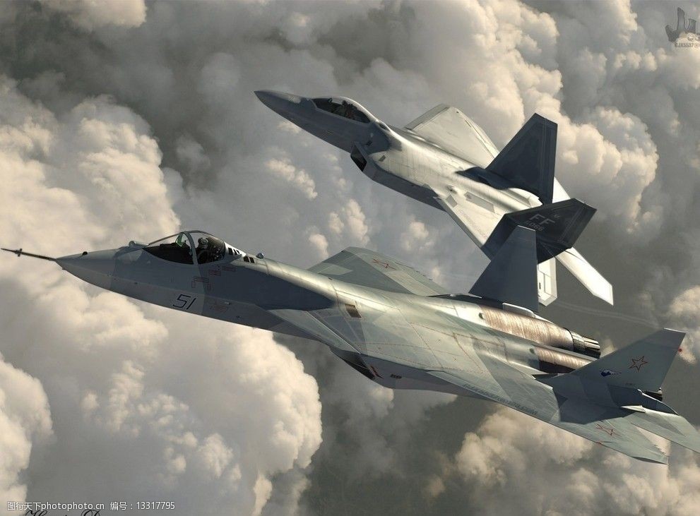 f22战斗机和t50战斗机图片