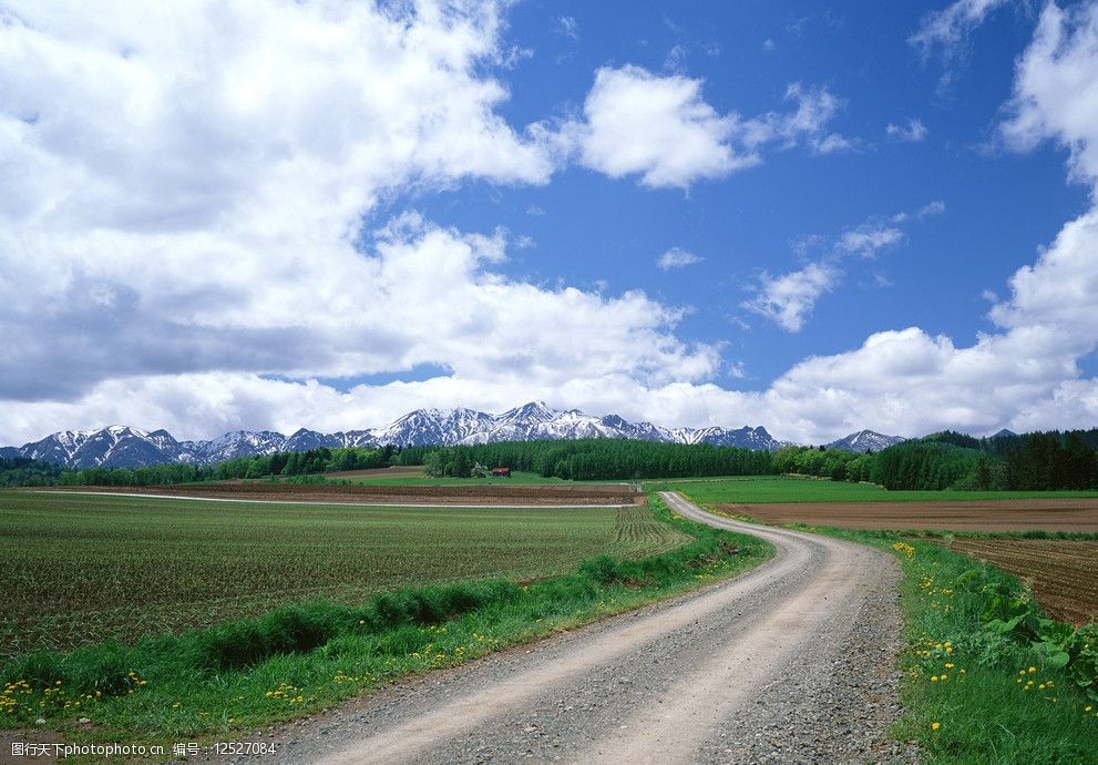 平坦大道公路图片