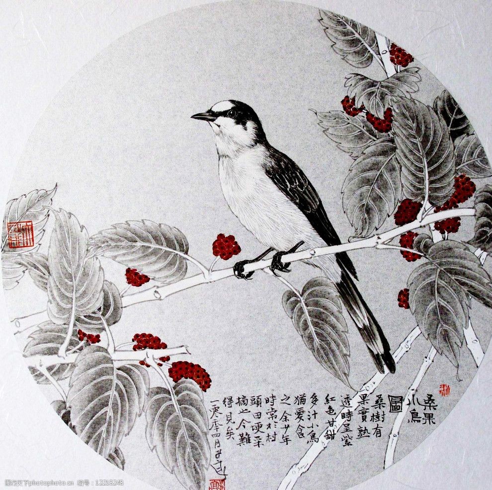 桑果小鸟图图片