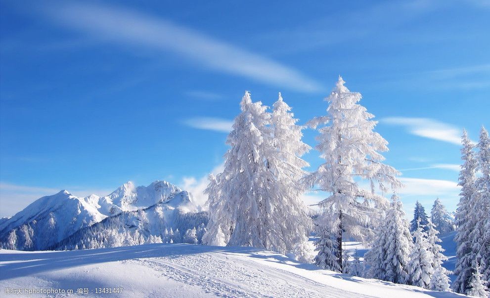 如诗如画雪景 壁纸 宽屏 自然 风光 美景 白雪 蓝天 雪地 自然风景