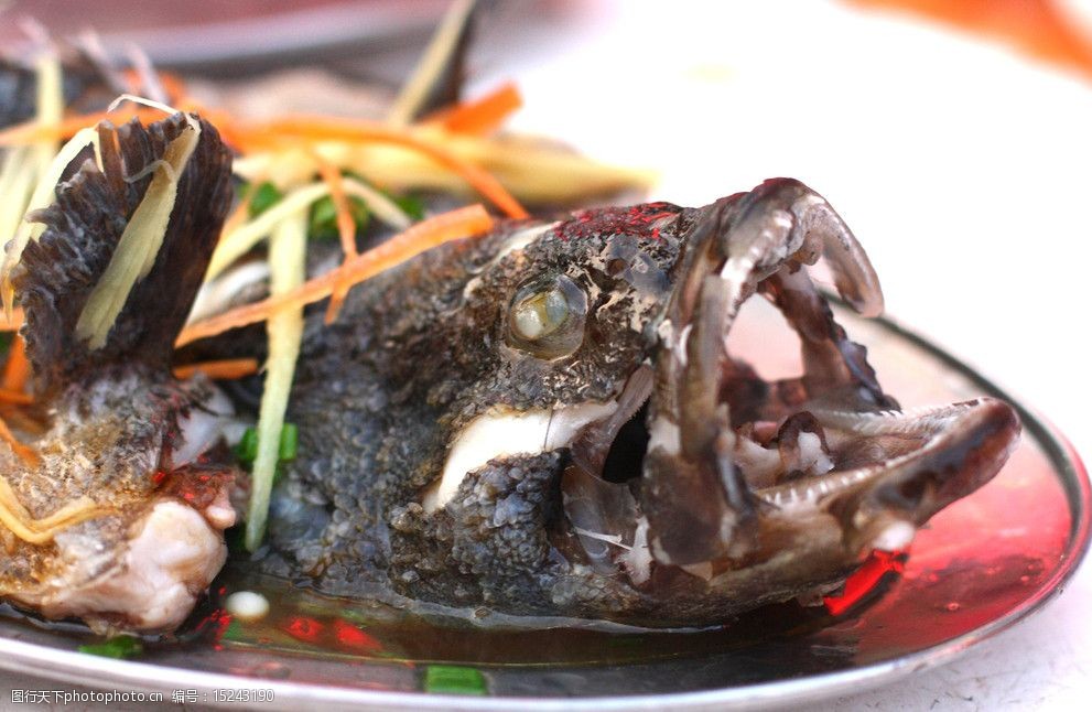 清蒸石斑鱼 石斑鱼 石斑 鱼 美食 海鲜 餐饮美食 传统美食 摄影 72dpi