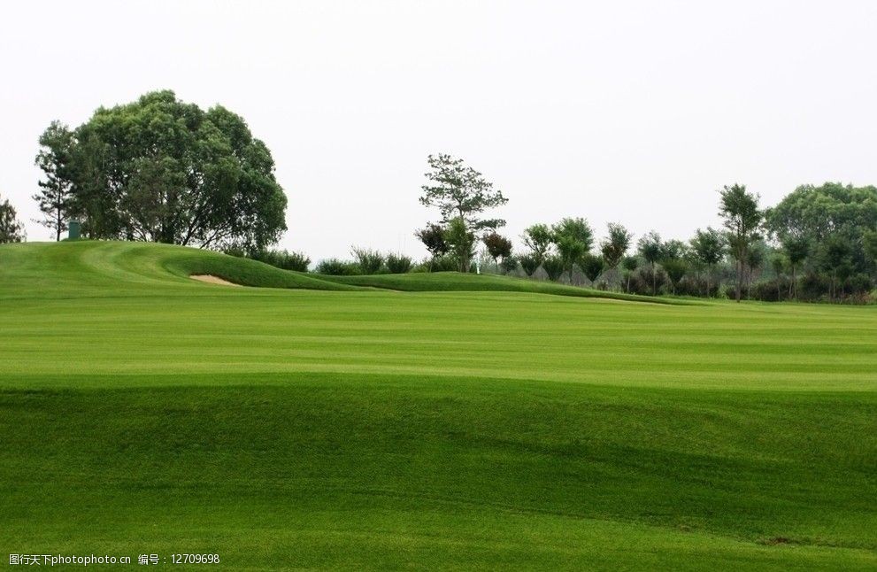 草坪高尔夫球场图片