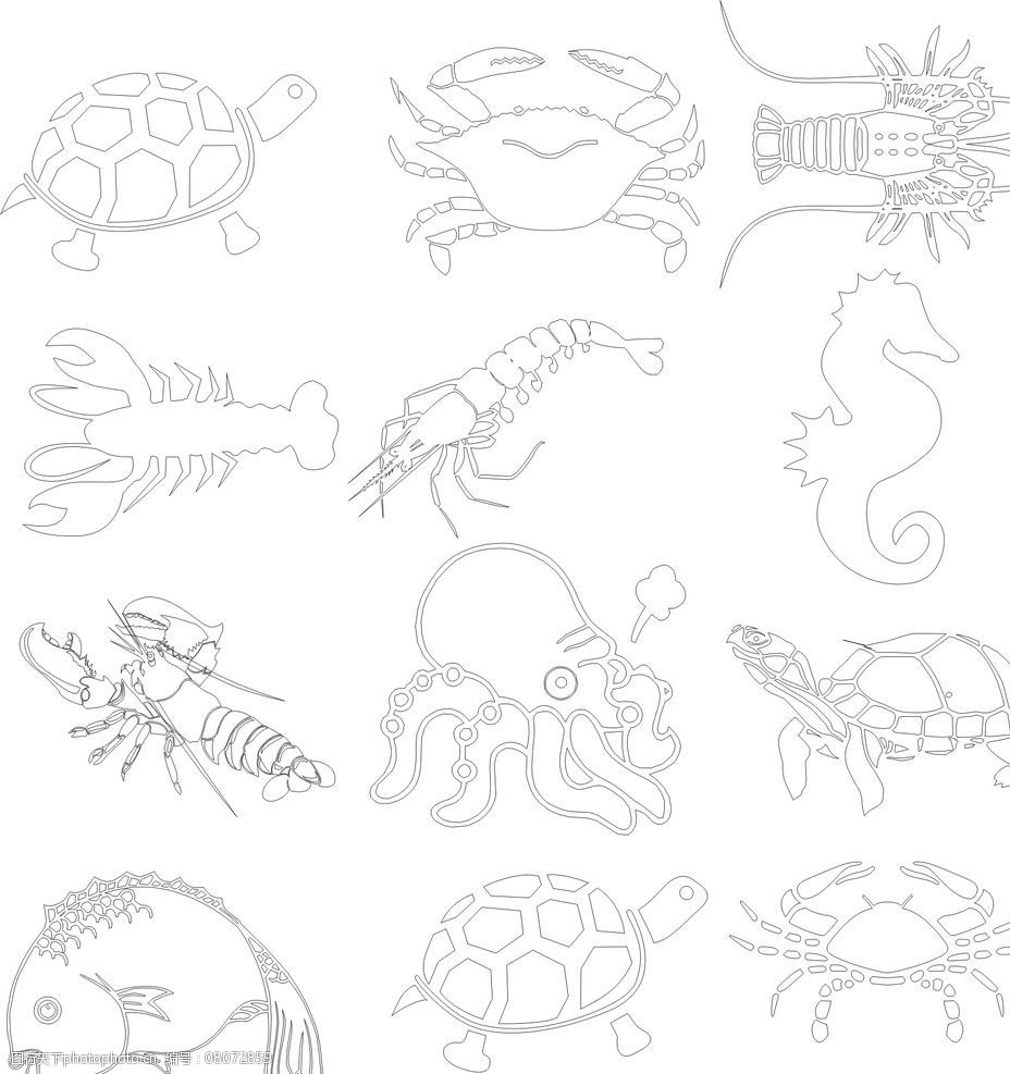关键词:矢量海洋动物 海洋生物 鱼 虾 螃蟹 乌龟 海马 动物 矢量 曲线