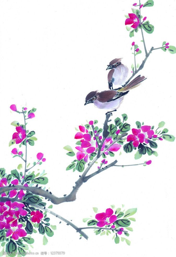 关键词:枝头飞鸟 花 鸟 国画 古典 美术 绘画 中国美术图库 绘画书法