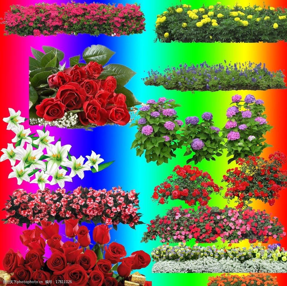鲜花花丛花树分层素材2图片