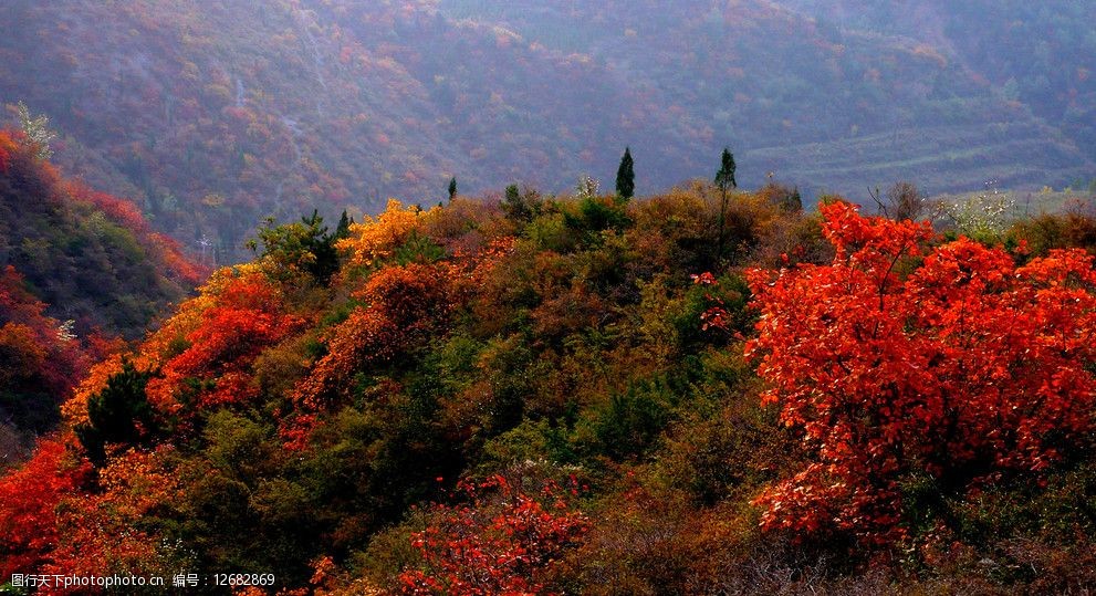 關鍵詞:秋天紅葉 秋天 紅葉 風景 山 自然風景 自然景觀 攝影 72dpi