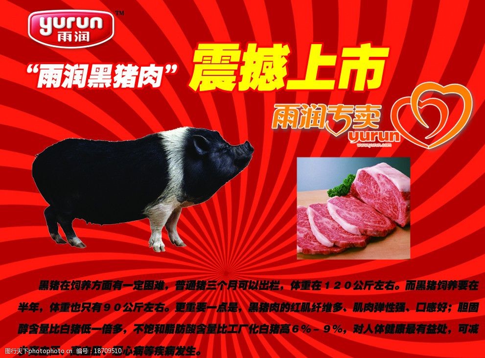 黑猪照片宣传海报图片