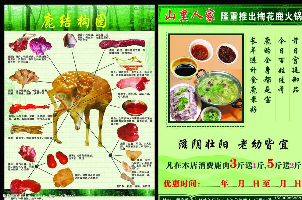 梅花鹿 dm宣传单 火锅 调料 肉 动物肝脏 森林 树木 山峰矢量 广告