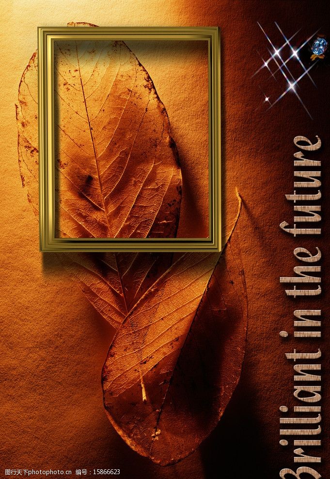 广告艺术美图名片图片黄色婚纱摄影卷轴