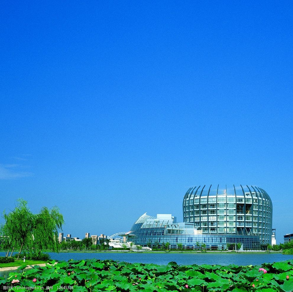 东华大学图文中心荷塘图片