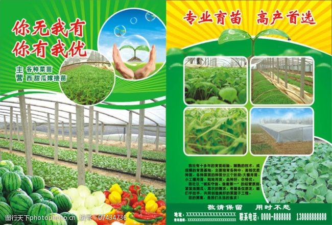 蔬菜大棚传单