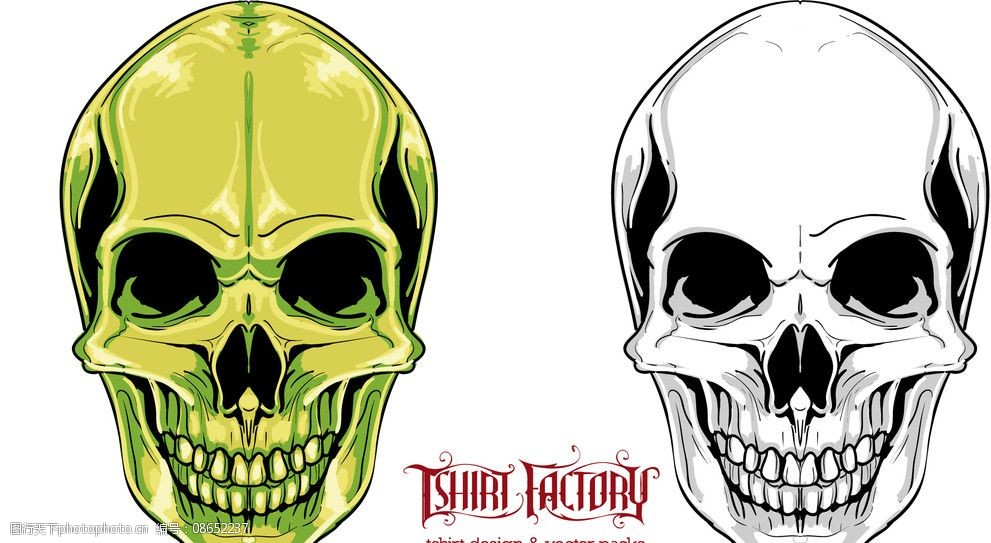 骷髅头矢量骷髅头骨图片