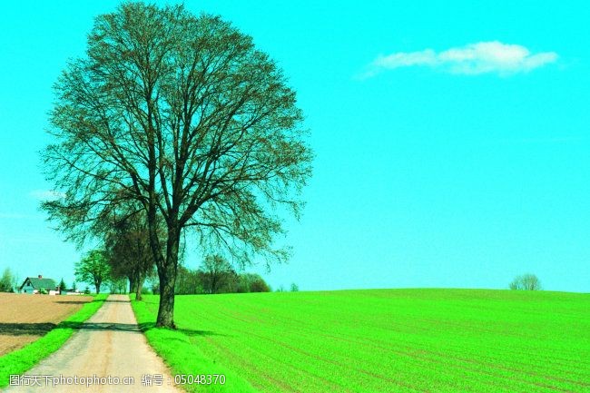 關鍵詞:路免費下載 大路 公路 路 路徑 路面 寬闊 圖片素材 風景生活