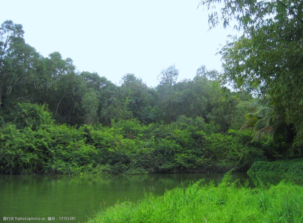 关键词:绿色美景 南山绿色风景 绿树 水 绿草 蓝天 自然风景 自然景观