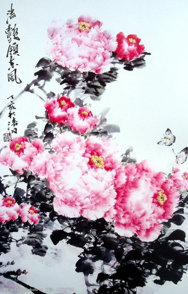 国画牡丹周清波作品图片