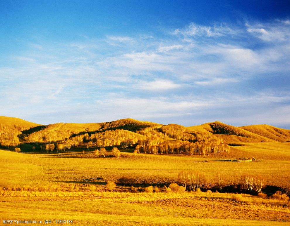 高清金色原野图片