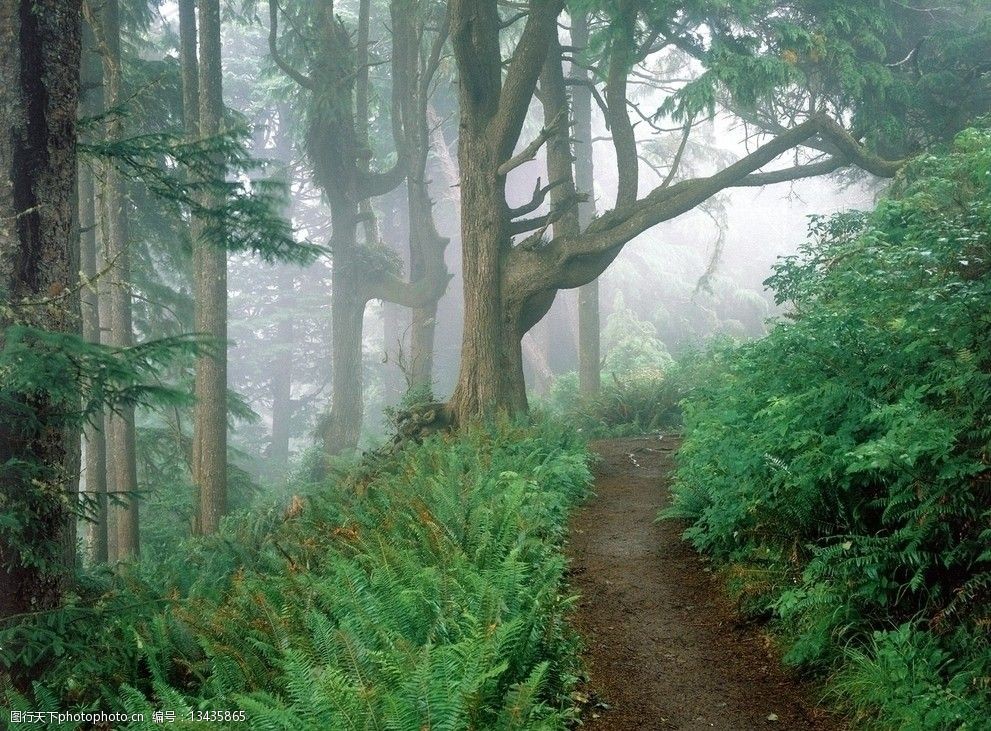 山間小路圖片