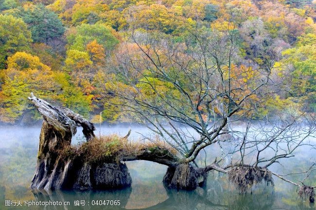 風景 山水 田園 自然 自然風景 家居裝飾素材 山水風景畫