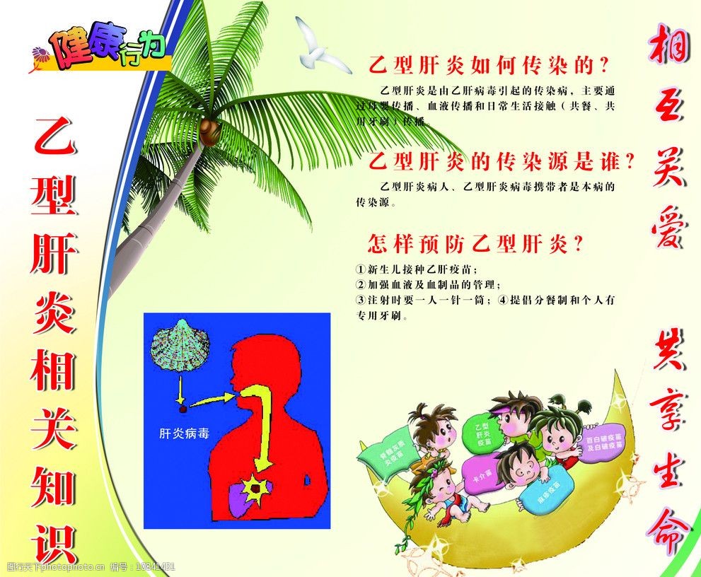 乙型肝炎相关知识图片