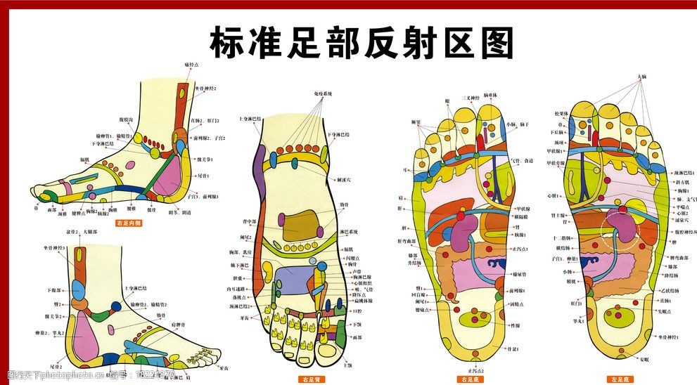 足疗图片图片 图行天下素材网