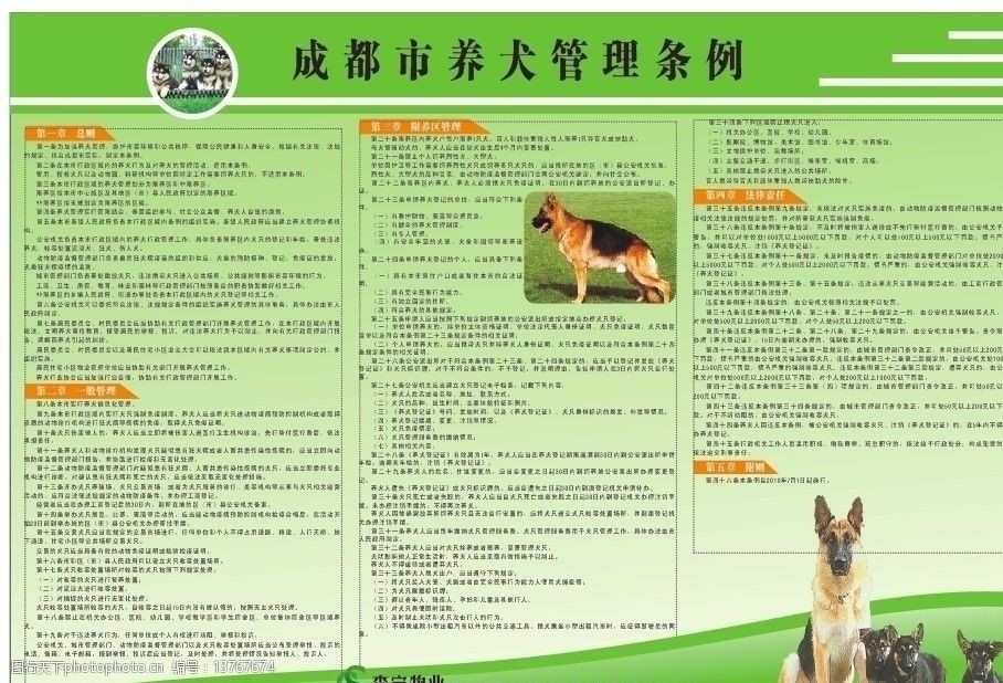 成都市养犬管理条例办法图片