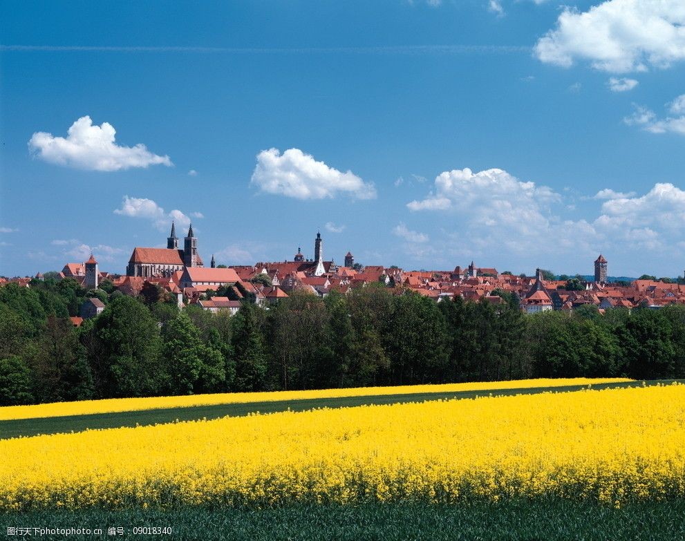 关键词:瑞士风光 田园风光 油菜花 建筑 欧式建筑 蓝天 白云 自然景观